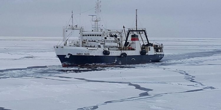 The Russian Fishign Company continues to modernise its fleet of factory vessels. Image: RFC - @ Fiskerforum