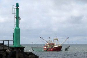 Danish shrimp trawler - @ Fiskerforum