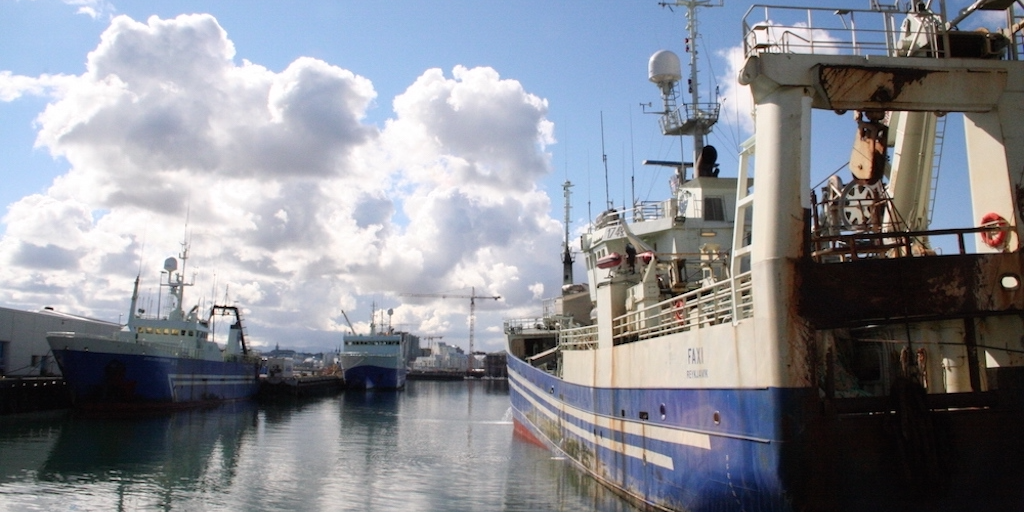 Read more about the article Union demands pelagic pricing investigation
