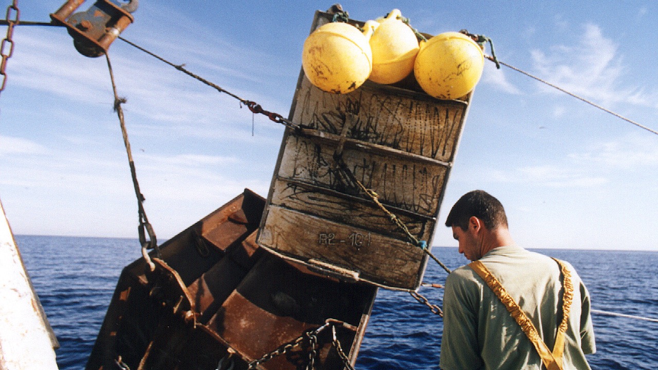 Read more about the article Dispute over four-door rig in court