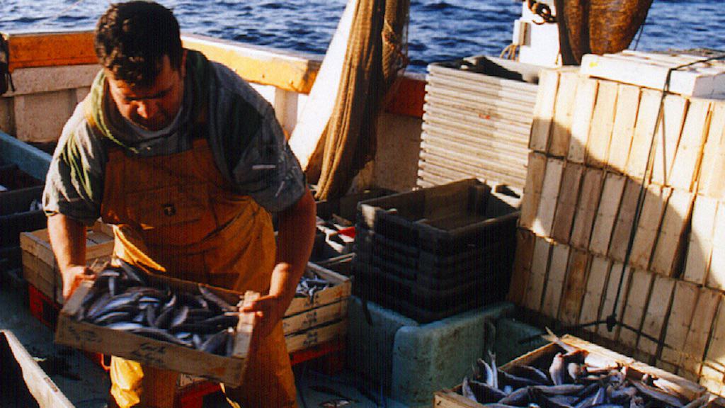 Read more about the article Setting up up a new Blue Mediterranean Partnership