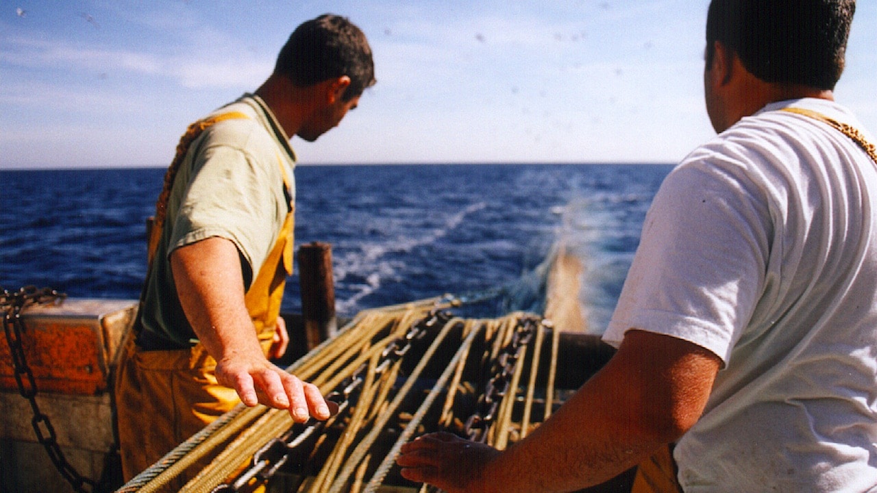 Read more about the article Mediterranean fisheries need faster, bold action