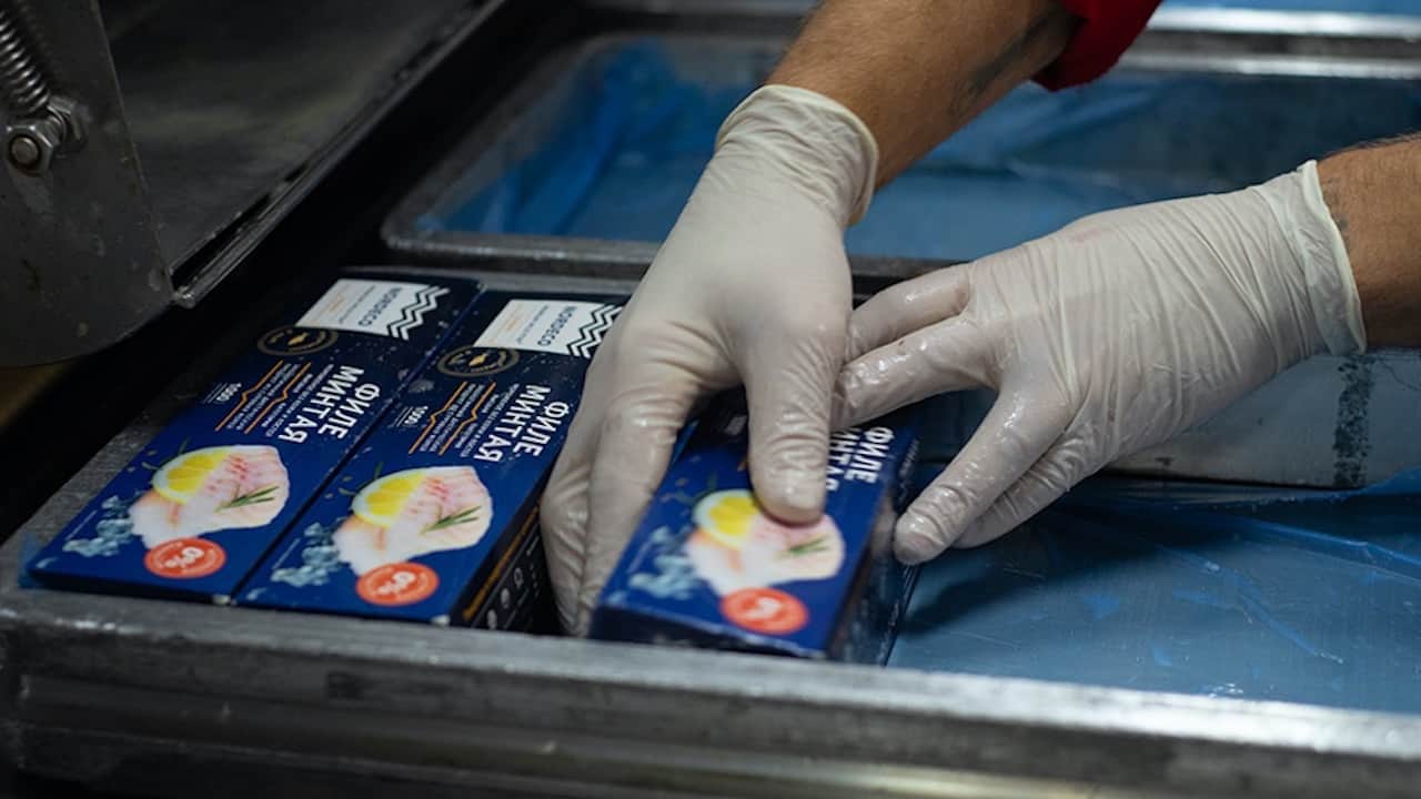 Read more about the article Russian seafood entering the UK market