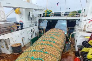 A bag of redfish on Rybak’s deck - @ Fiskerforum