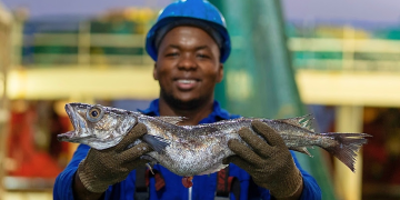 SA hake keeps its ecolabel