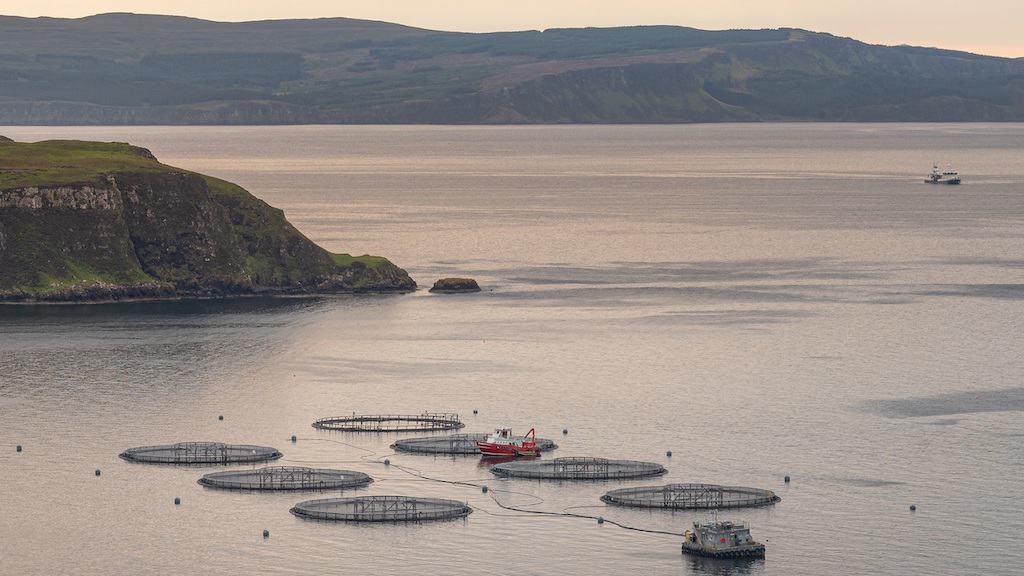 Read more about the article SAIC supports hundredth aquaculture project