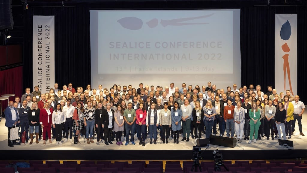 Read more about the article Scotland wins bid to host international sea lice summit