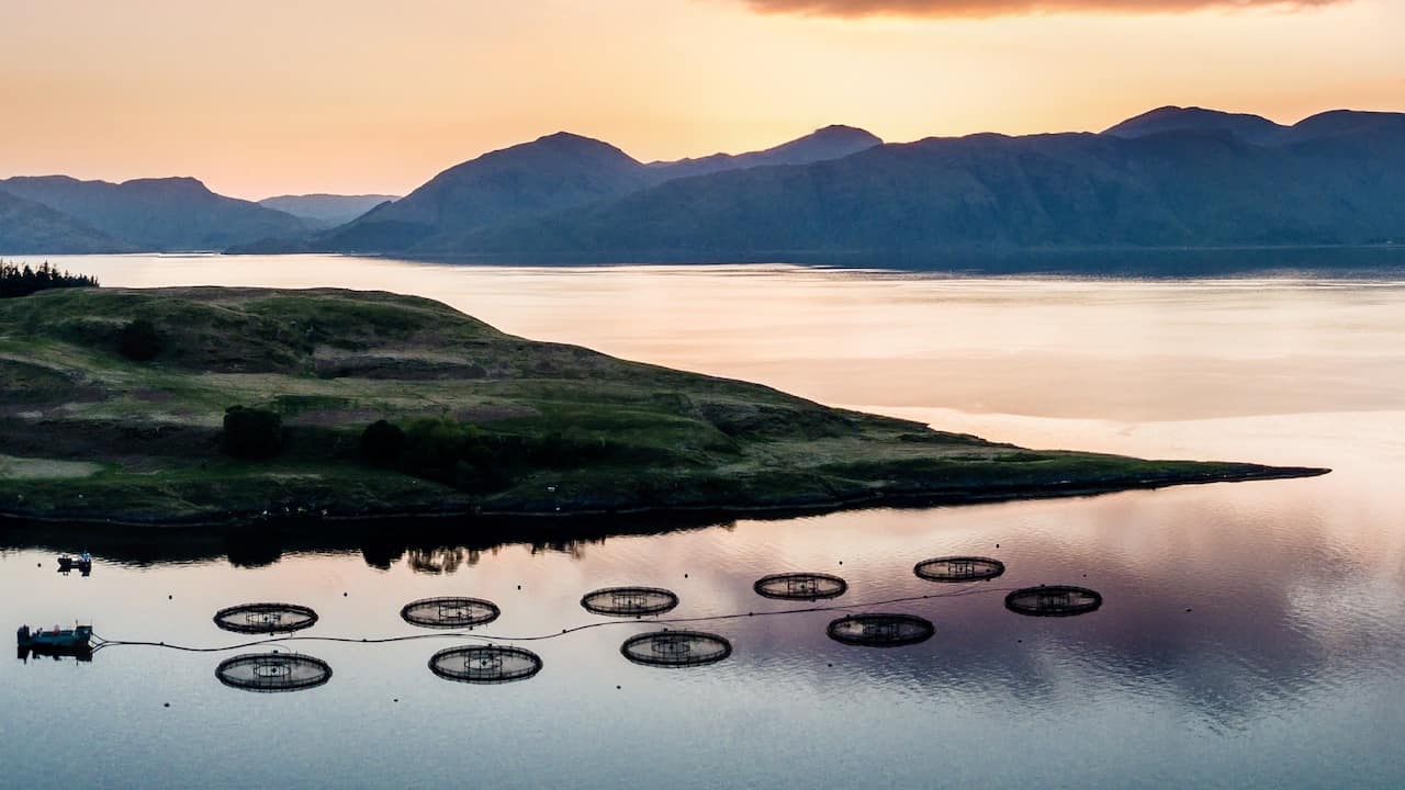 Read more about the article Funding boost for aquaculture research