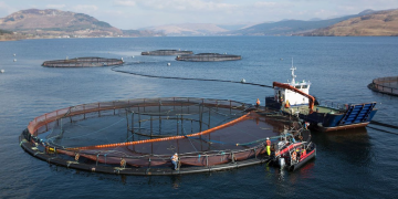 New era and new home for SAIC