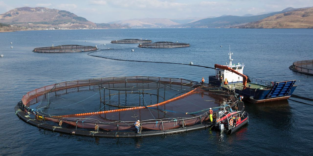 Read more about the article New era and new home for SAIC