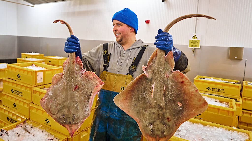 Read more about the article Biodiversity crisis in Scottish waters exaggerated, say Shetland fishermen
