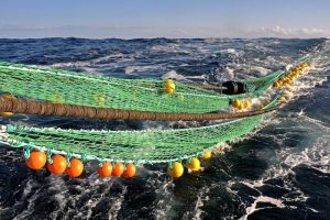 The Shetland Fishermen’s Association is calling for closer links between government and industry. Image: SFA - @ Fiskerforum
