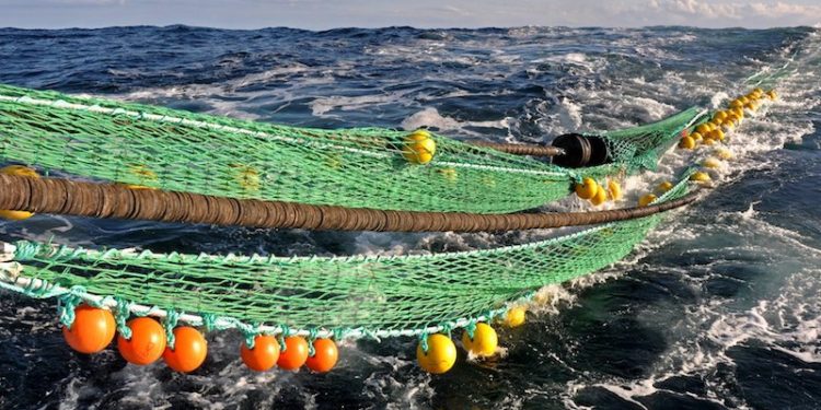 The Shetland Fishermen’s Association is calling for closer links between government and industry. Image: SFA - @ Fiskerforum