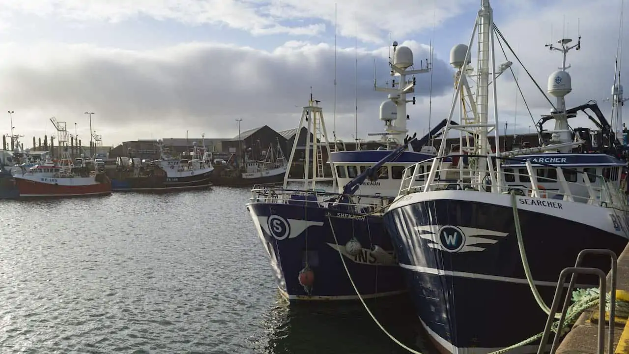 Read more about the article Scottish fishing in crisis