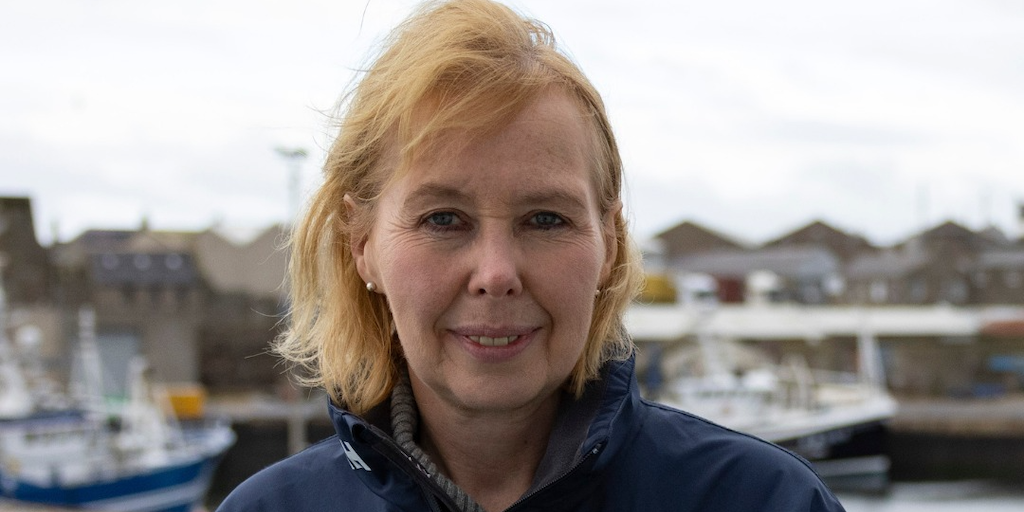 Read more about the article SFF chief exec to step down