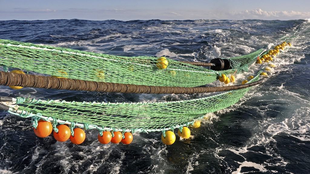 Read more about the article SFF hits back at NGO’s misleading stats