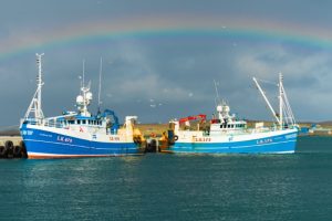The Scottish Fishermen’s Federation has urged ministers to rule out a long Brexit transition for the fishing industry - @ Fiskerforum