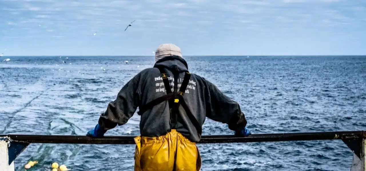 Read more about the article Scottish fishermen trial mobile reporting app