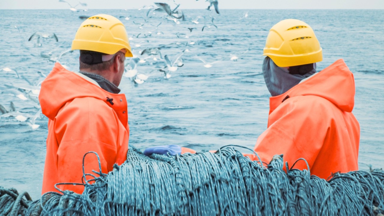 Read more about the article Australia’s Biosecurity Protection Levy Bill withdrawn