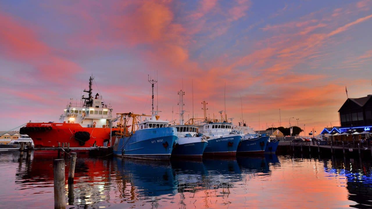 Read more about the article Australia’s seafood industry welcomes government commitments