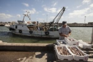 Italian fishermen landing near Rome - @ Fiskerforum