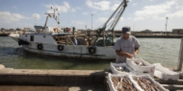 Italian fishermen landing near Rome - @ Fiskerforum