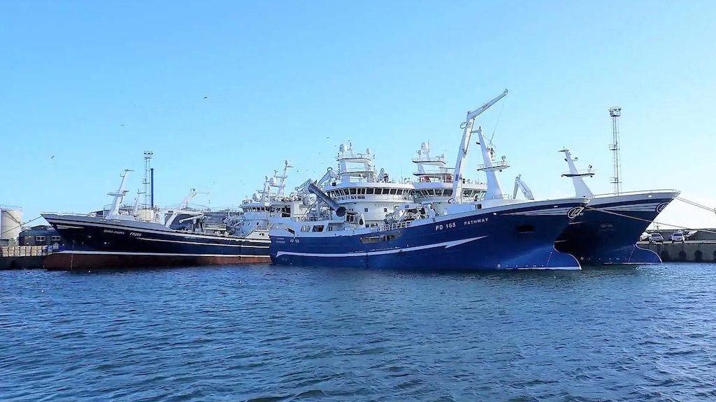 Read more about the article Scottish fleet’s strong start on mackerel