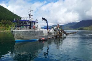 Mussel farming in the Marlborough Sounds - @ Fiskerforum