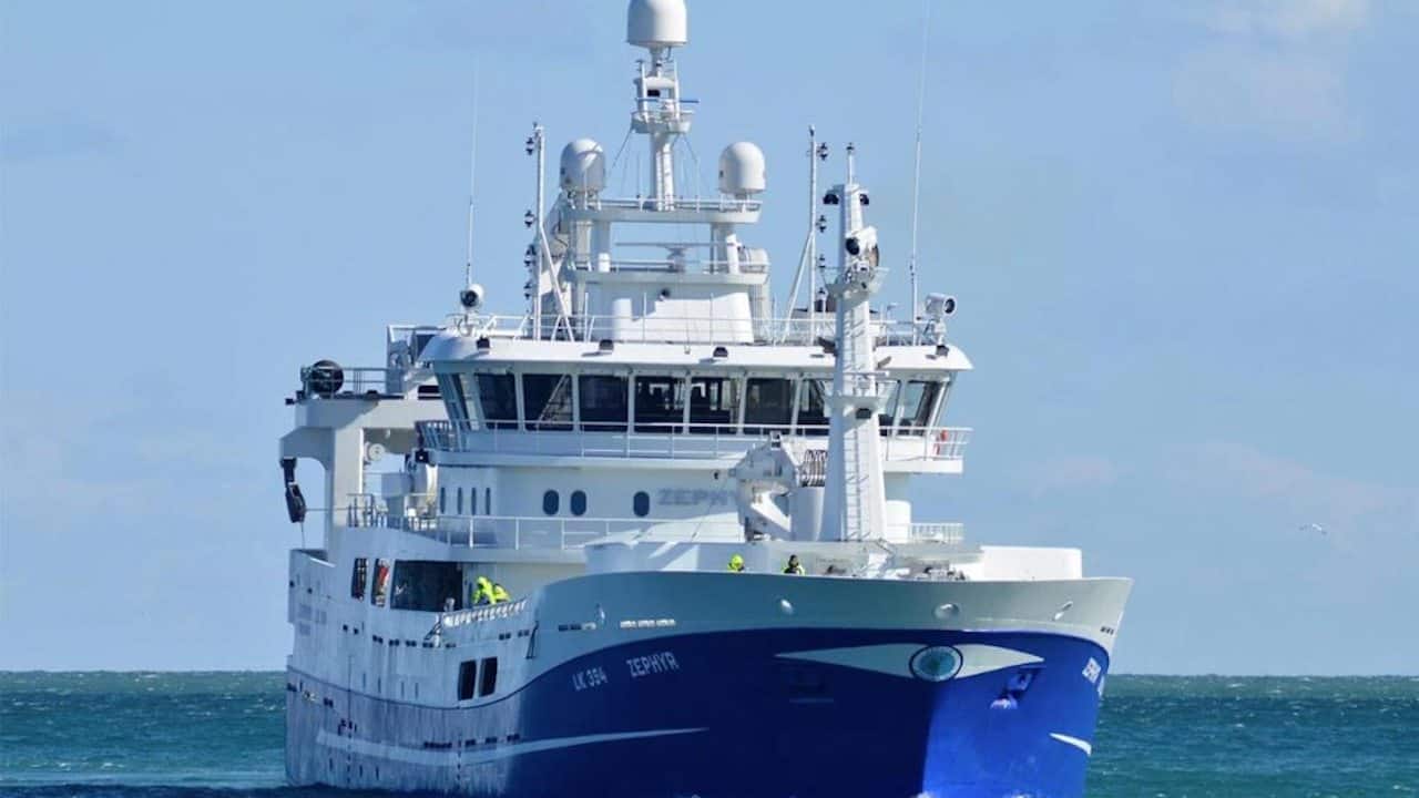 Read more about the article Oily fish are the green option