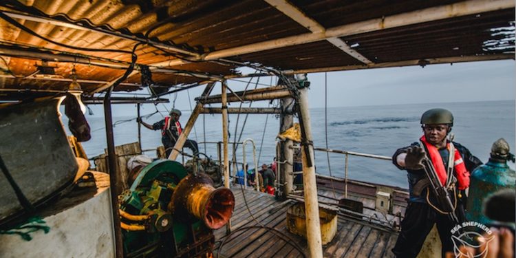 Gabonese marines secure illegal trawler. Michael Rauch/Sea Shepherd - @ Fiskerforum