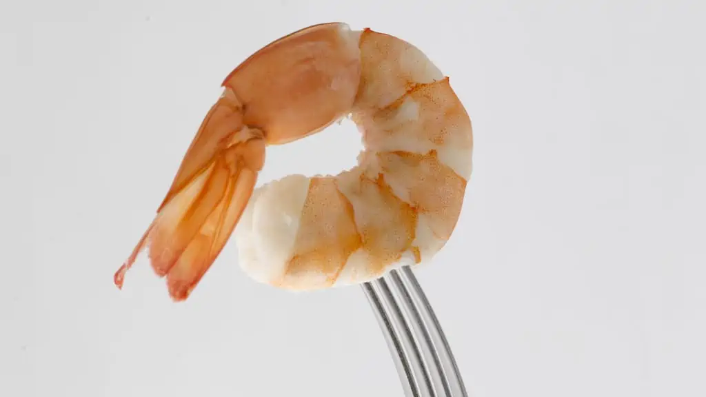 Read more about the article SSP giant jumbo shrimp reaches Chilean market