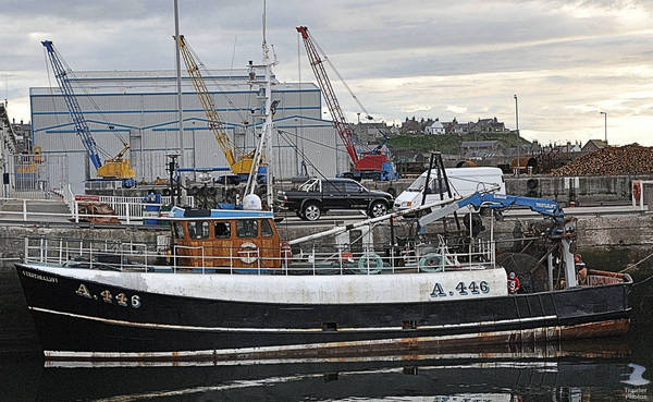 Read more about the article Fish Prices/Landings for Scotland.