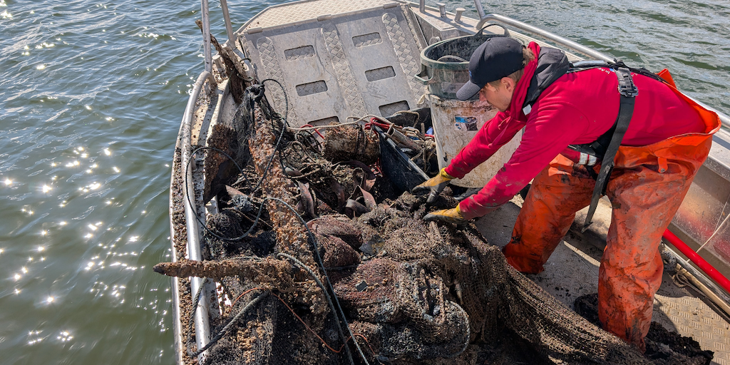 Read more about the article Towards a cleaner Baltic