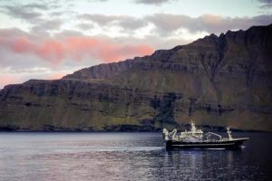 Pelagic vessel Börkur steaming in Norðfjörður. Image: Helgi Freyr Ólason/SVN - @ Fiskerforum