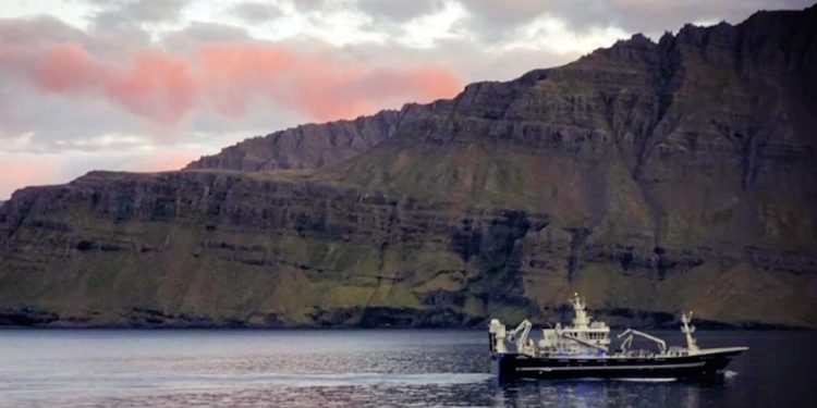 Pelagic vessel Börkur steaming in Norðfjörður. Image: Helgi Freyr Ólason/SVN - @ Fiskerforum