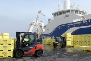 Visiting vessels have added to activity at the Fjarðabyggðarhafnir ports in eastern Iceland. Image: SVN/Hákon Ernuson - @ Fiskerforum