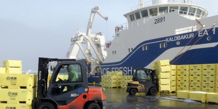 Visiting vessels have added to activity at the Fjarðabyggðarhafnir ports in eastern Iceland. Image: SVN/Hákon Ernuson - @ Fiskerforum