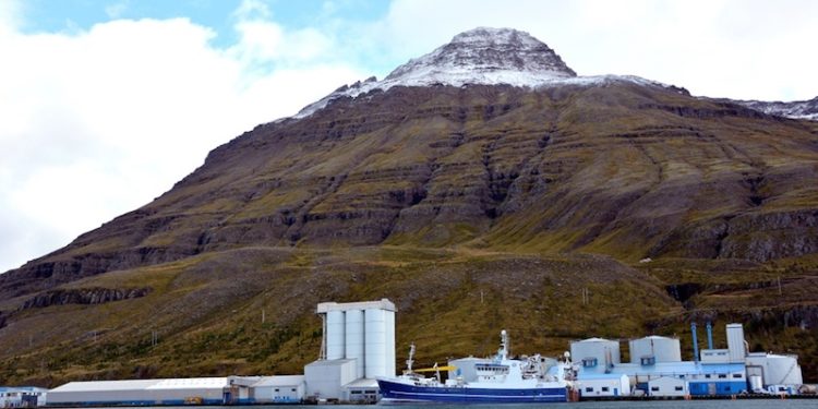 Síldarvinnslan’s Seyðisfjörður fishmeal plant is located below the Strandartindur mountain - @ Fiskerforum
