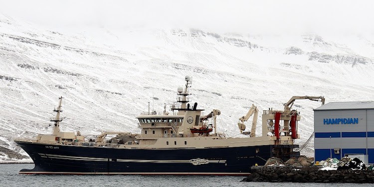 Read more about the article Pelagic fleet prepares for blue whiting
