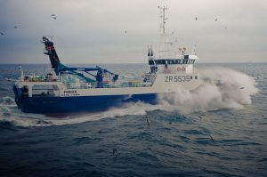 South African fishing companies are urging the government to exercise caution over rights allocations. Image: SADSTIA - @ Fiskerforum