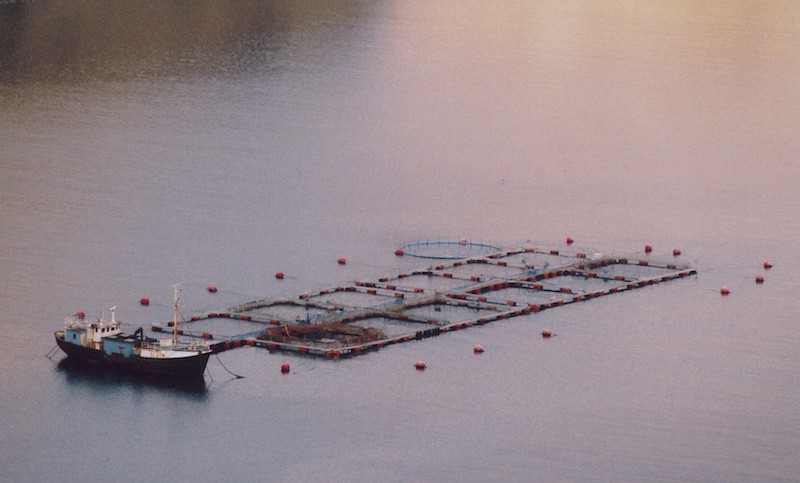Read more about the article Tourism and aquaculture set to clash