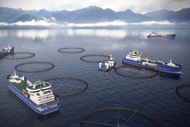 DESS Aquaculture Shipping has ordered two new live fish carriers to be built in Turkey - @ Fiskerforum
