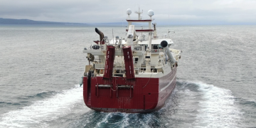 Heading for blue whiting in the Grey Zone