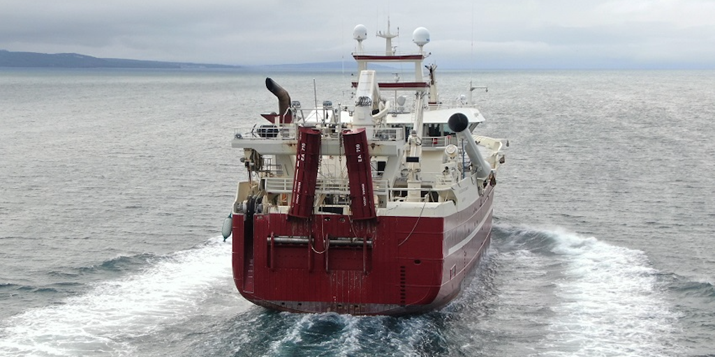 Read more about the article Heading for blue whiting in the Grey Zone