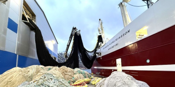 Fleet optimistic as capelin gear on board