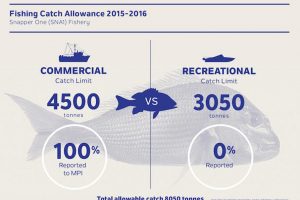 SNA1 (Snapper One Fishery) data shows returns to the sea are 3.2% of commercial snapper catch; returns to the sea for recreational catch are unknown - @ Fiskerforum