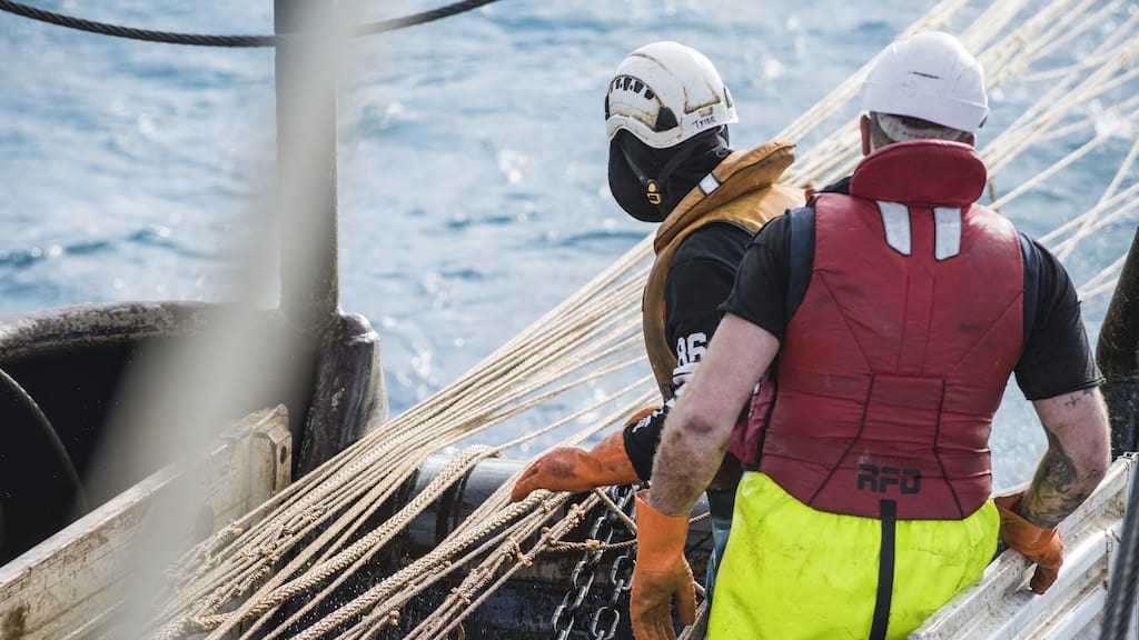 Read more about the article Sanford results boosted as international markets recover