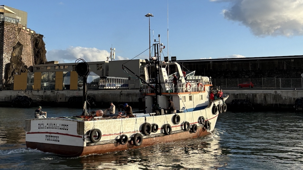 Read more about the article Madeira leads the way on electronic monitoring