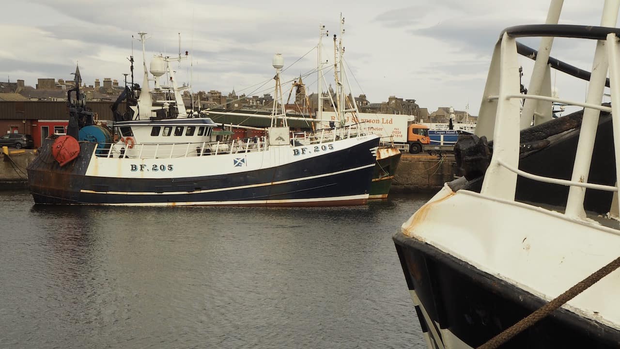 Read more about the article SFF hits back at NGO’s ‘naïve assessment’ of UK stocks