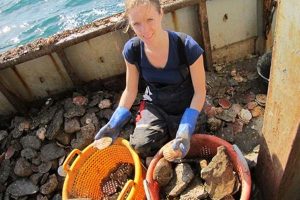 Channel scallop fishery taking steps toward sustainable accreditation.  Photo: - @ Fiskerforum